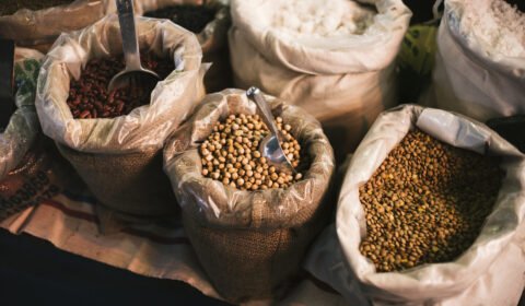Perspectiva de safra de grãos mais cara da história força compras antecipadas e aumenta busca por bioinsumos