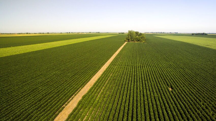 Sufocado por agrotóxicos perigosos, Brasil tem de avançar na transição agroecológica