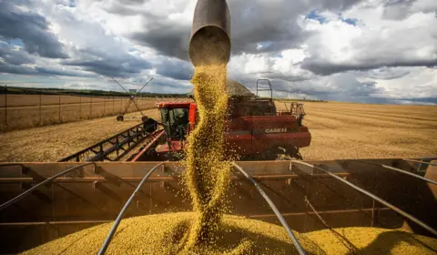 Comércio exterior: Brasil liderou exportação de dez produtos no agronegócio em 2023