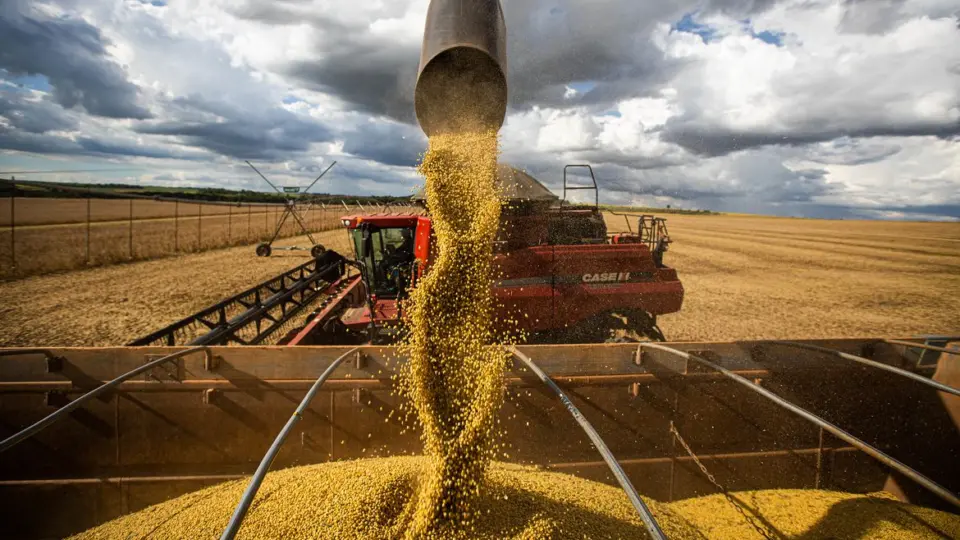 Comércio exterior: Brasil liderou exportação de dez produtos no agronegócio em 2023