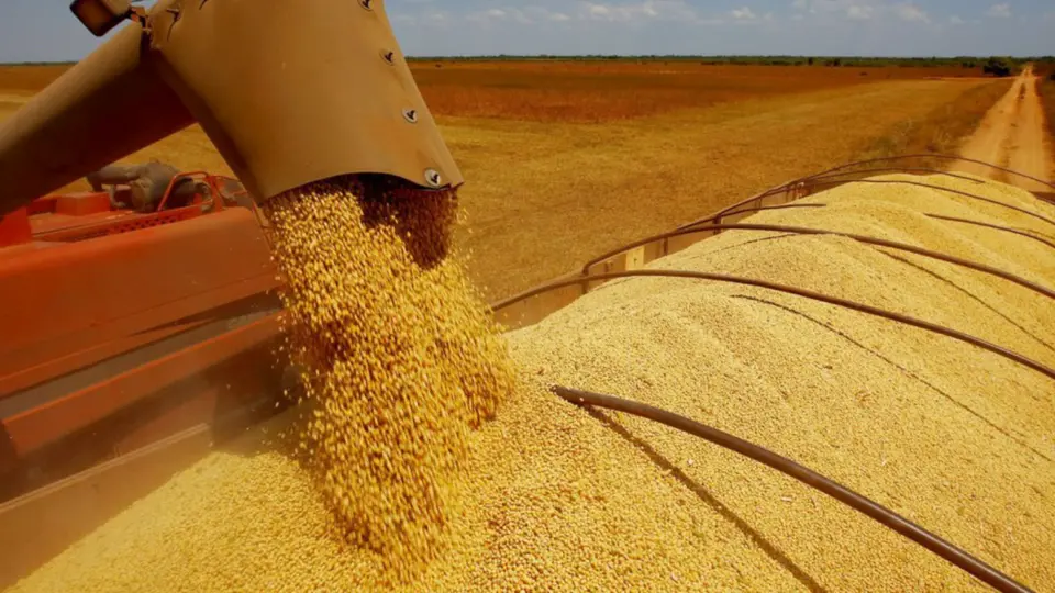 Previsão da safra de grãos sobe 0,5% em março e expectativa é de novo recorde da produção agrícola