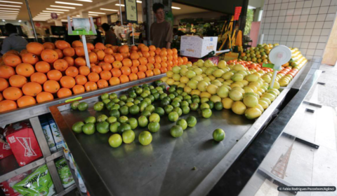 Índice de preços de alimentos da ONU sobe 12,6% em março e bate recorde de série histórica