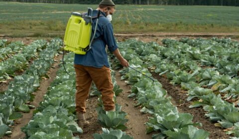 De forma açodada, Comissão de Agricultura do Senado aprova projeto que facilita a autorização de agrotóxicos no país