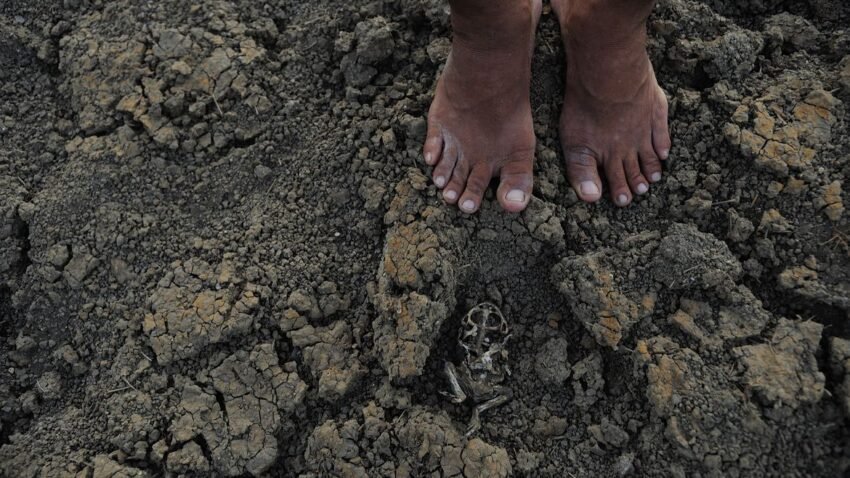 Sob governo Bolsonaro, Programa de Cisternas engana moradores do semiárido mineiro, que são forçados a pagar para ter água