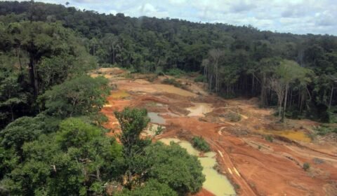 Yanomamis pedem R$ 6,6 bilhões de indenização por garimpo ilegal
