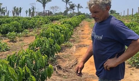 Sob Bolsonaro, produtores de alimentos passam fome na Amazônia