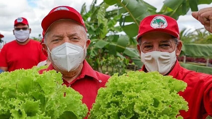 Agrotóxicos: o que governo Lula precisa fazer para zerar fome com comida saudável