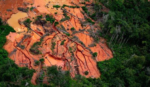 MPF detalha ações e omissões do governo Bolsonaro na crise humanitária da TI Yanomami