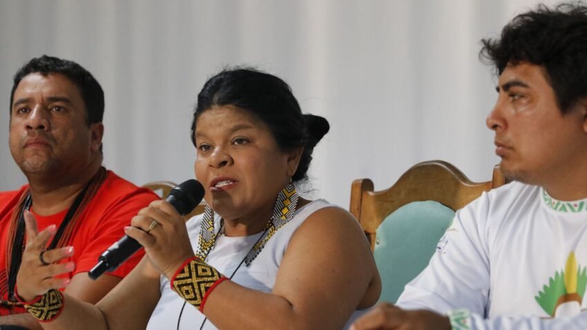 Inserir população indígena no mercado de trabalho está entre os desafios da ministra Sonia Guajajara