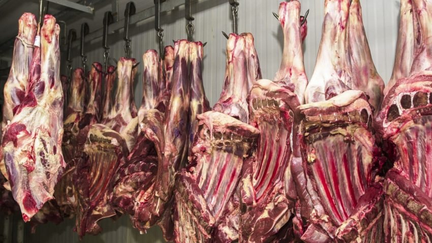 Governo brasileiro suspende exportação de carne bovina à China após caso de mal da vaca louca no PA