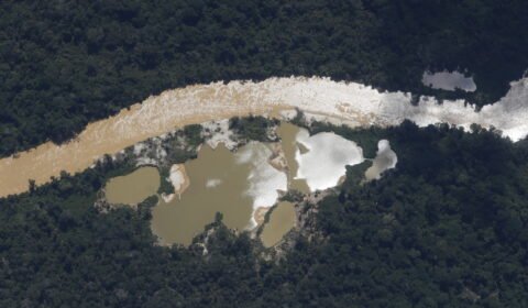 Novo monitor mostra que o garimpo destruiu o triplo da devastação anunciada em janeiro na Terra Yanomami