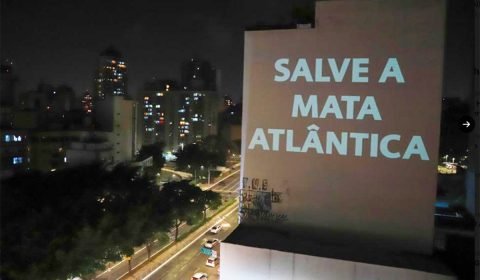 Câmara ignora Senado e aprova MP bolsonarista que facilita destruição da Mata Atlântica. Padilha diz que Lula vai vetar proposta