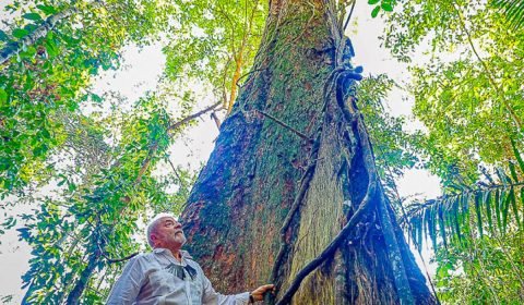 Com Lula à frente, Cúpula da Amazônia buscará unificar ações de preservação da floresta
