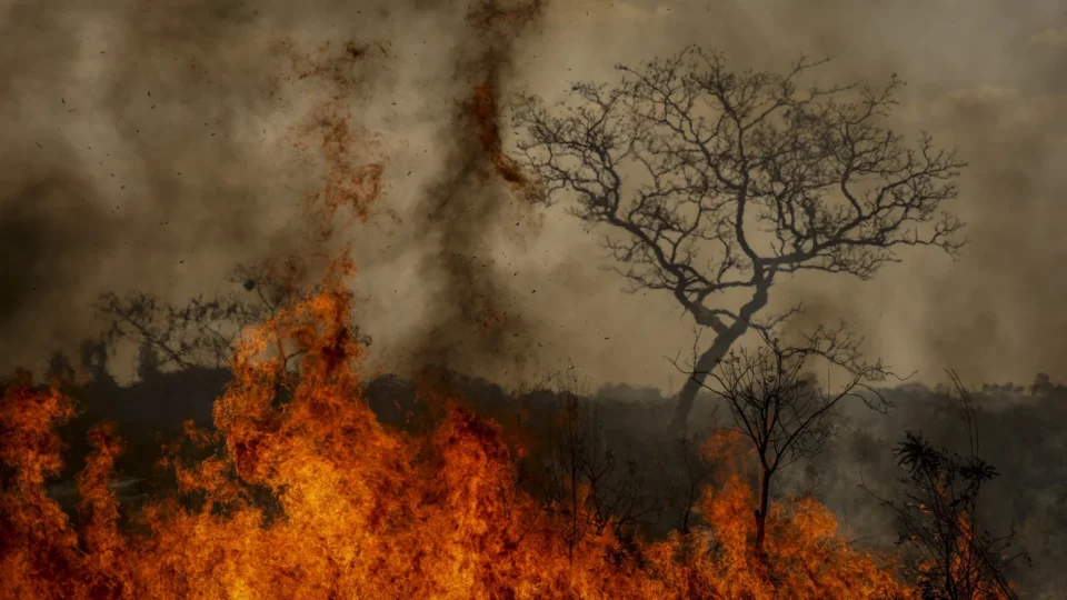 Prejuízos com incêndios em canaviais paulistas já chegam a R$ 800 milhões