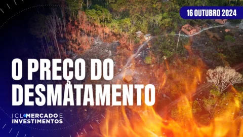 Desmatamento na Amazônia: Agro tem prejuízo com suas próprias atitudes