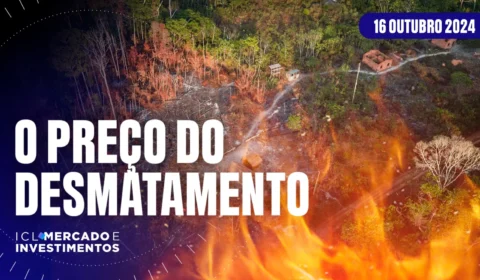 Desmatamento na Amazônia: Agro tem prejuízo com suas próprias atitudes